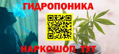 ГАЛЛЮЦИНОГЕННЫЕ ГРИБЫ Усть-Джегута