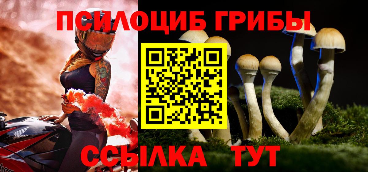 Богородск  как найти наркотики  Галлюциногенные грибы прущие грибы  Вход с VPN  Псилоцибиновые грибы ЛСД 